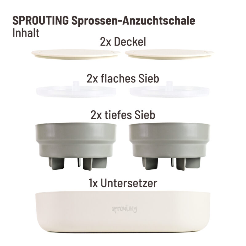 Sprossen Starterset Doppelt – Bild 2