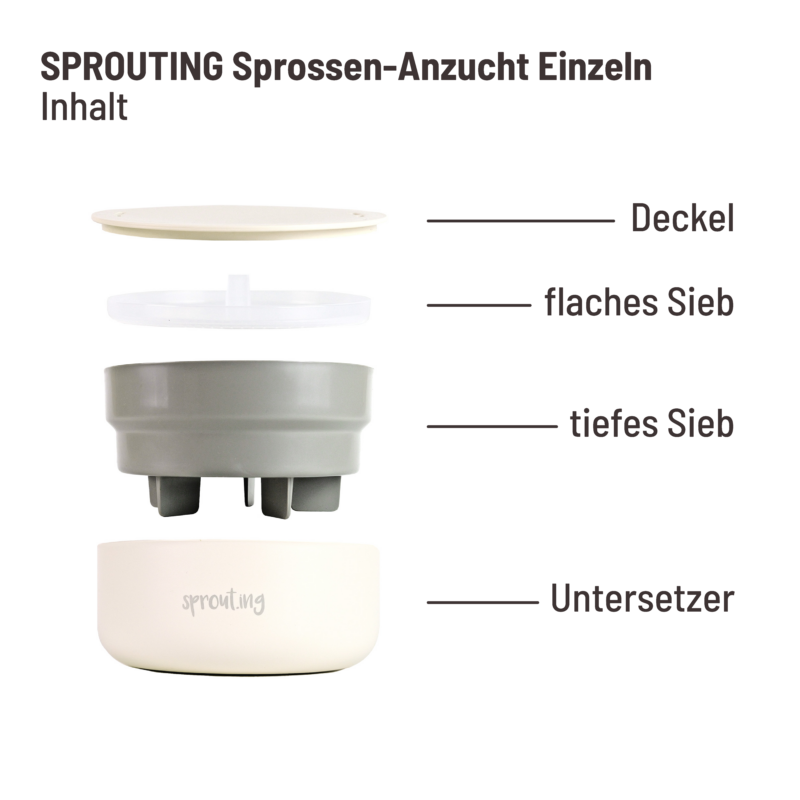 Sprossen Anzuchtschale – Bild 2