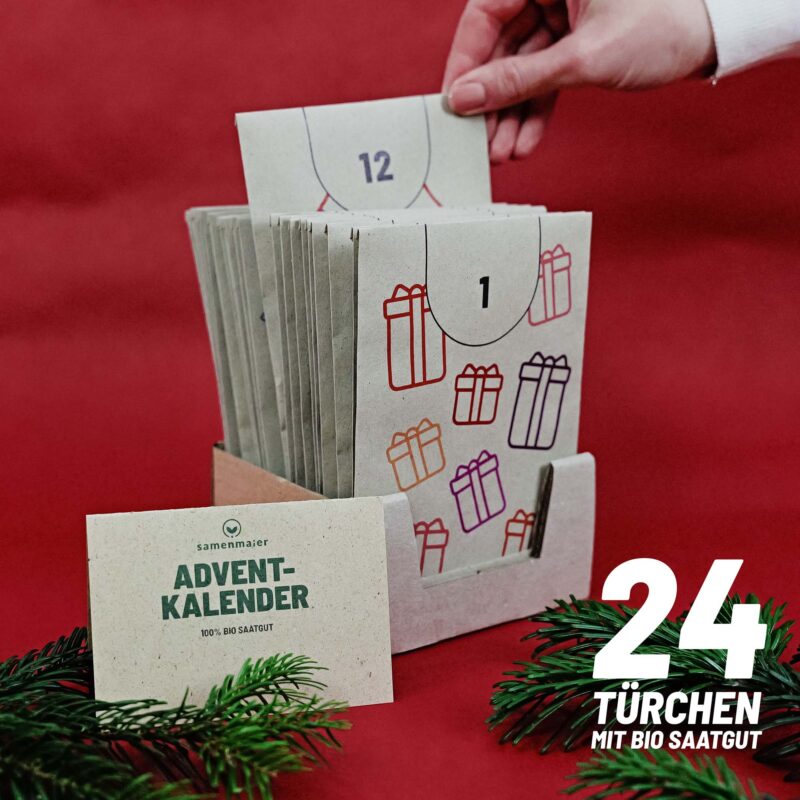 BIO Saatgut-Adventkalender