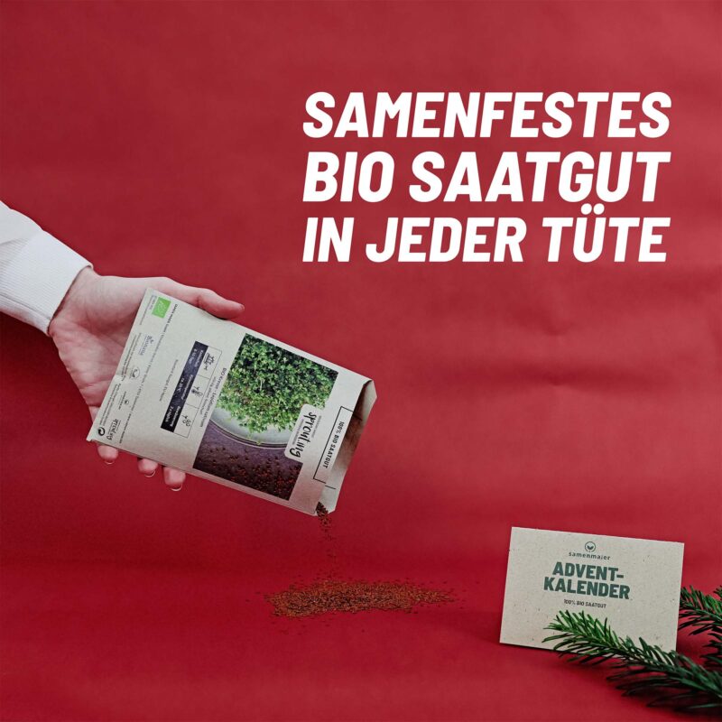 BIO Saatgut-Adventkalender