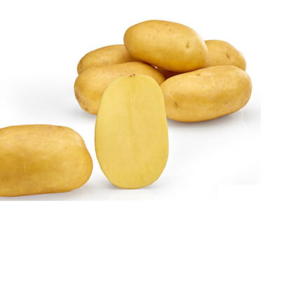 BIO Kartoffeln Lea (festkochend)