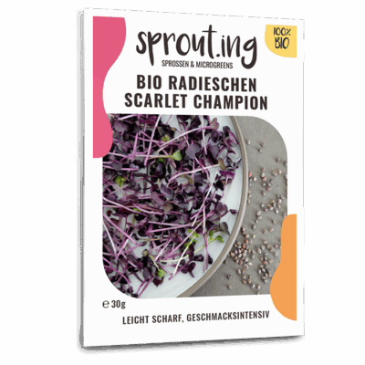 BIO Sprossen / Microgreens Radieschen Scarlet Champion