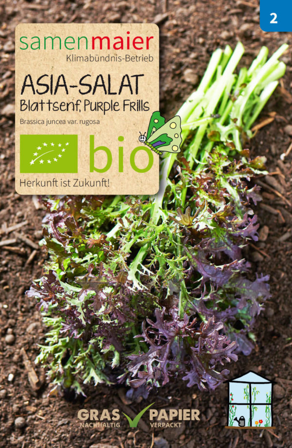 Bio Asia-Salat Blattsenf (Purple Frills)