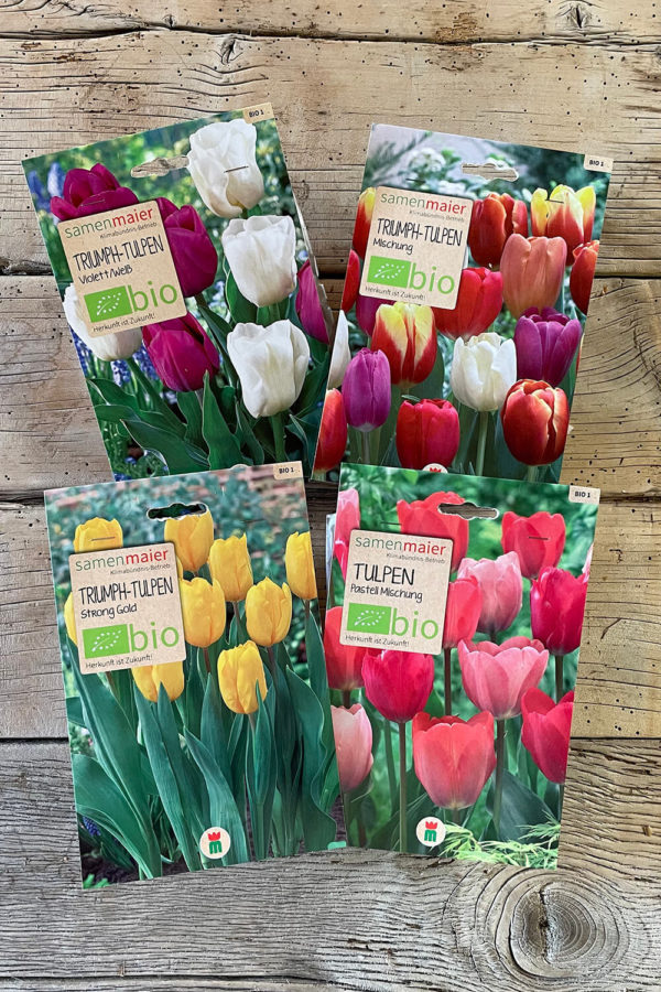 BIO Blumenzwiebel 4er Paket "Tulpen"