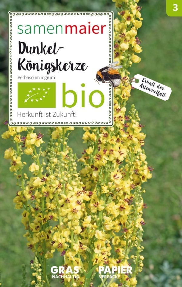 BIO Wildblumen - Dunkel-Königskerze
