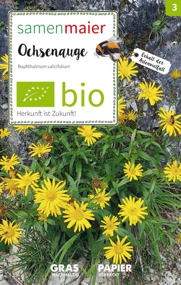 BIO Wildblumen - Ochsenauge