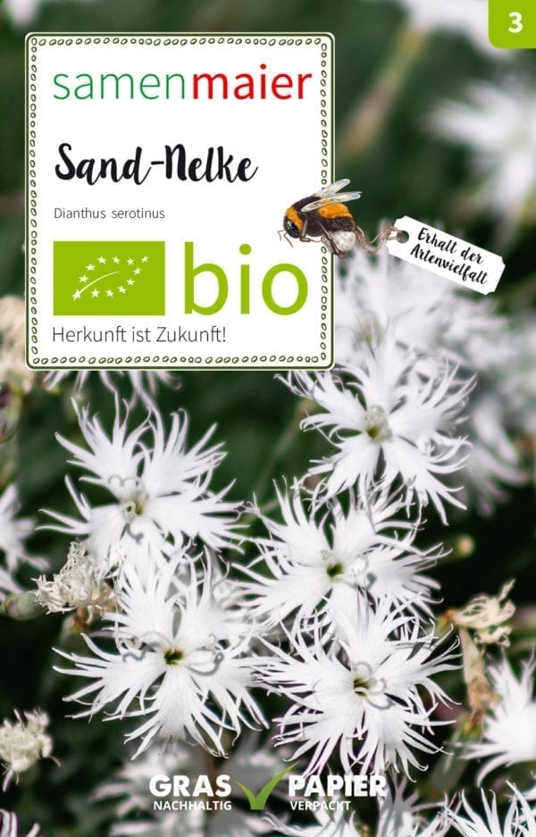 Organic Wild flower - dianthus serotinus