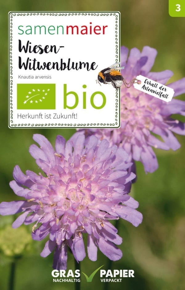 BIO Wildblumen - Wiesen-Witwenblume