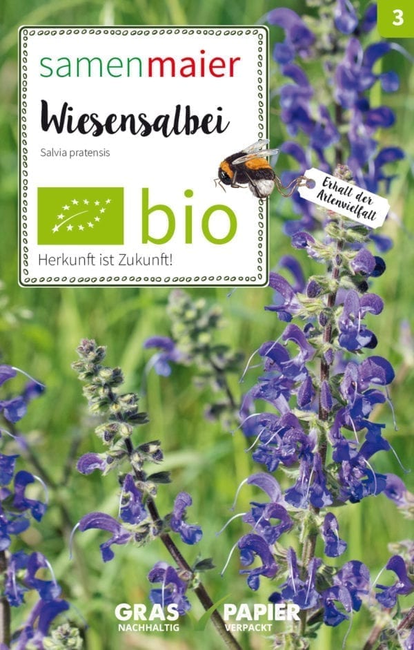 Bio Wildblumen - Wiesensalbei