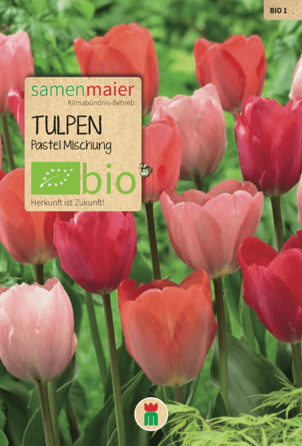 ekološki tulipani ˝Pastel Mix˝
