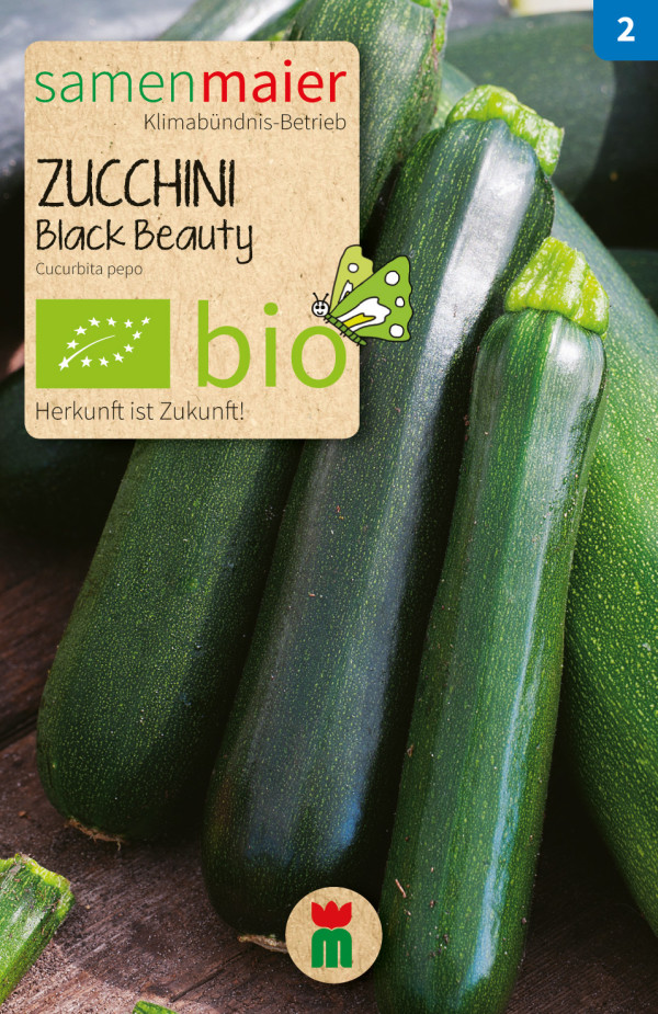 Bio Zucchini Black Beauty