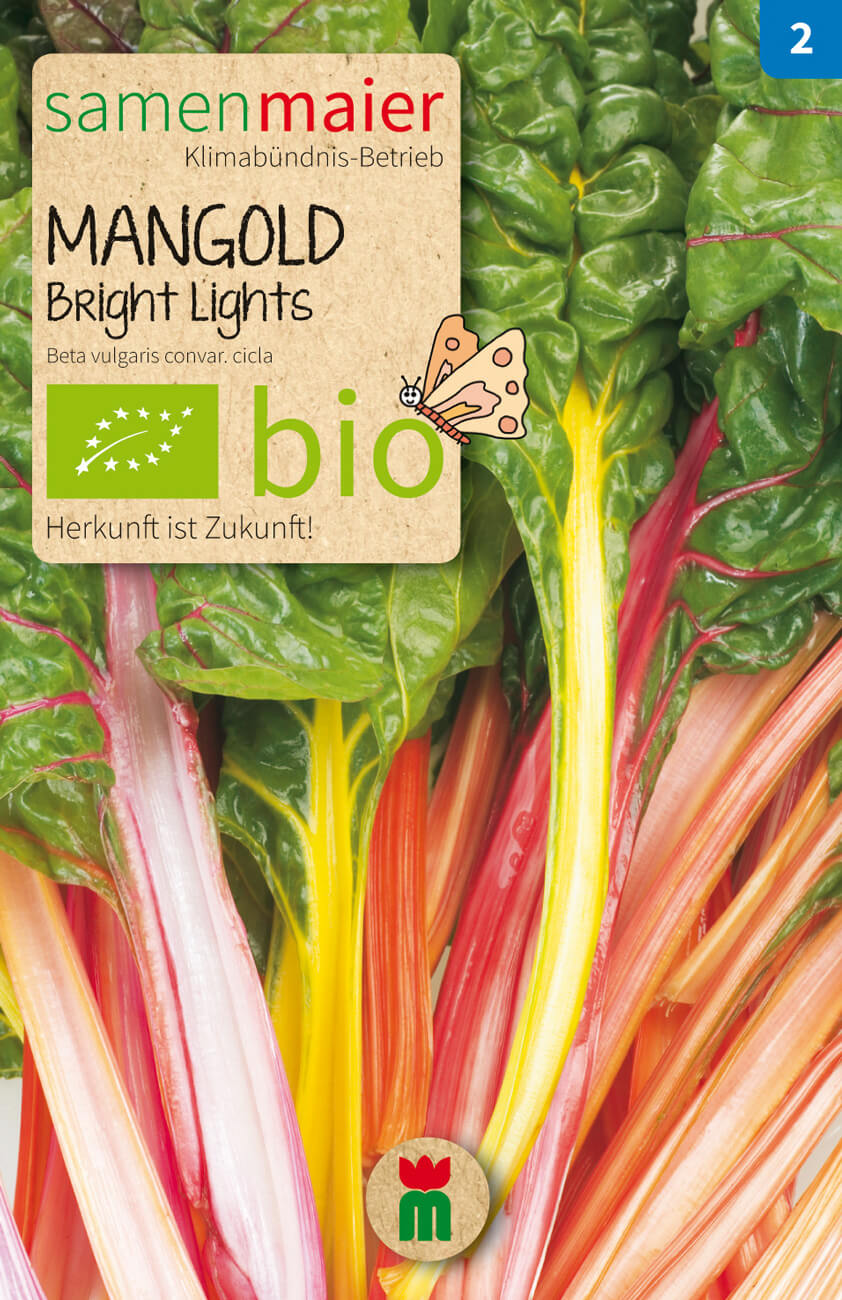 4211 Chrestensen Mangold 'Lucullus' gelbgrüner ertragreicher Blattmangold Samen
