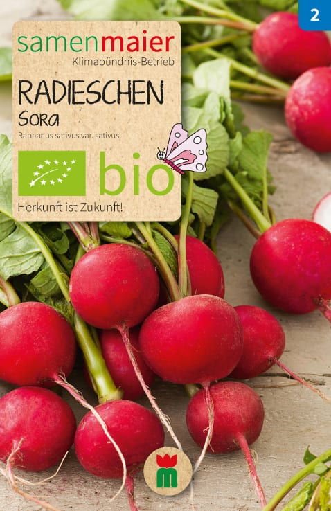 Organic Sora radish
