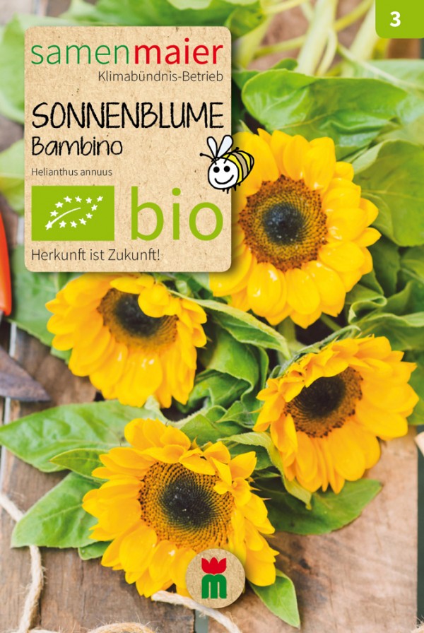 Organic Sunflower bambino