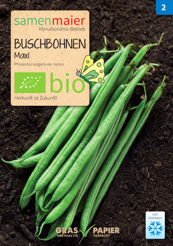 Bio Buschbohnen 'Maxi'