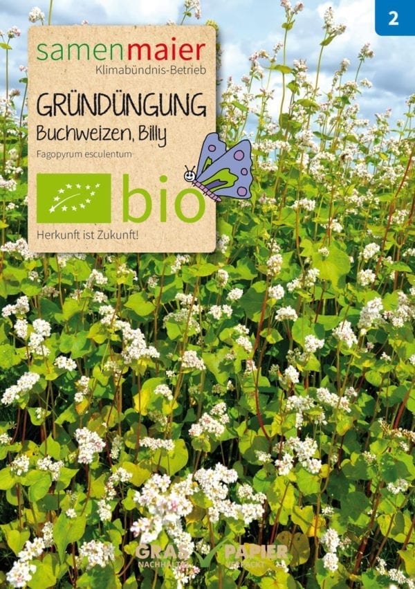 Organic Green manure Buckwheat Billy