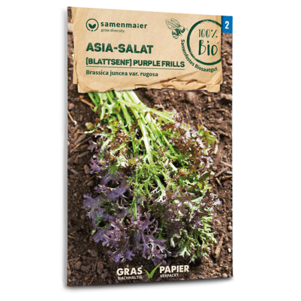BIO Asia-Salat Blattsenf (Purple Frills)