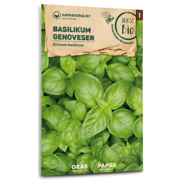 Organic Basil Genoveser