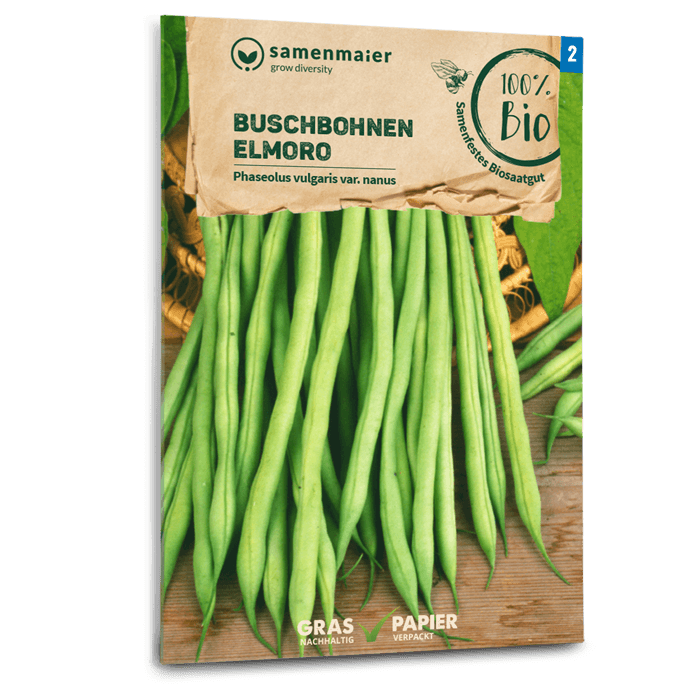 Organic Bush Beans \'Elmoro\' | Samen Maier