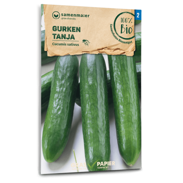 Organic Cucumber Tanja