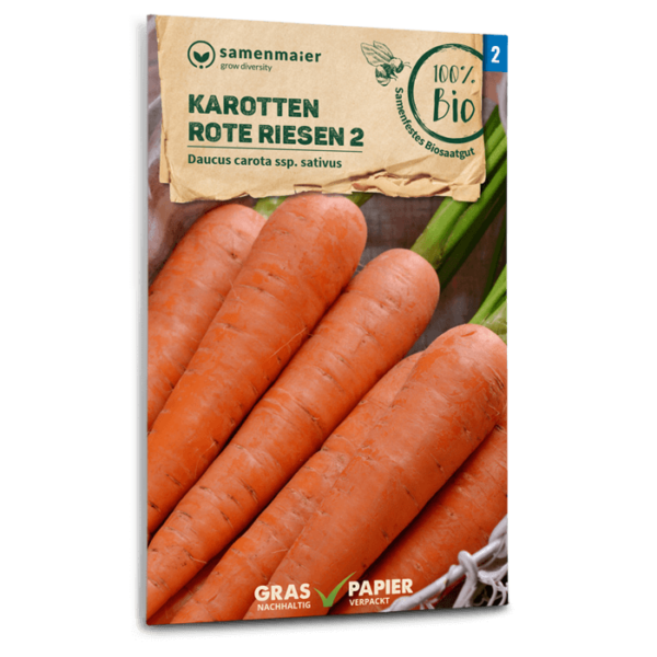 Organic Carrots Rote Riesen 2