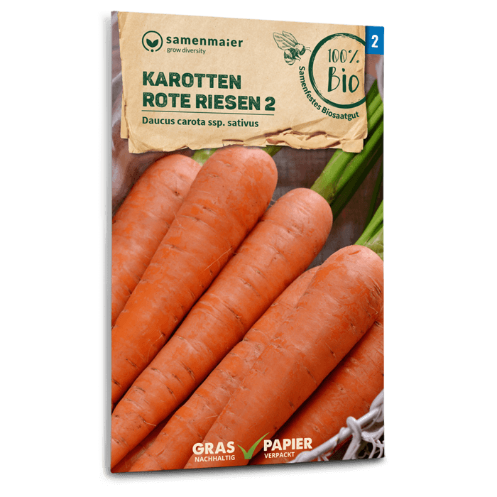 42004 Möhren 'Rote Riesen'  Saatband  Saatgut Möhre Karotten 