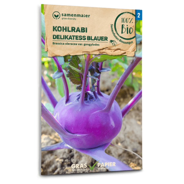 Organic Kohlrabi Delikatess blauer