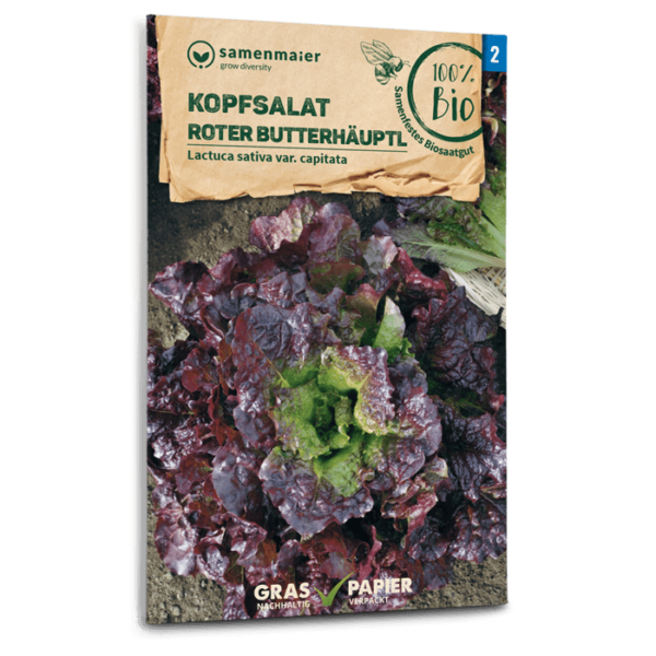 Organic Head Lettuce ‘Roter Butterhäuptel'