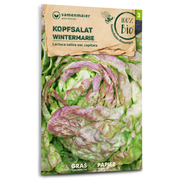 Organic Lettuce Wintermarie