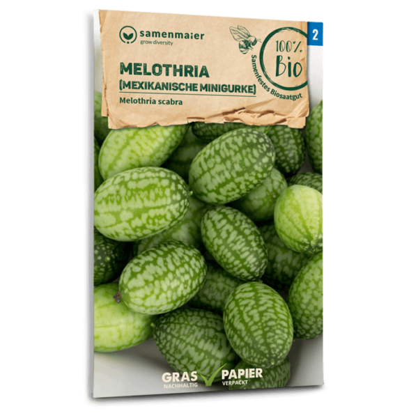 BIO Melothria (Mexikanische Minigurke)
