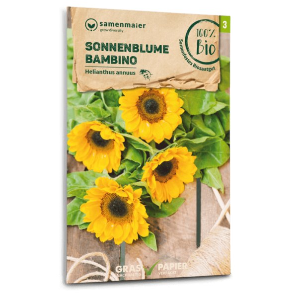 Organic Sunflower bambino