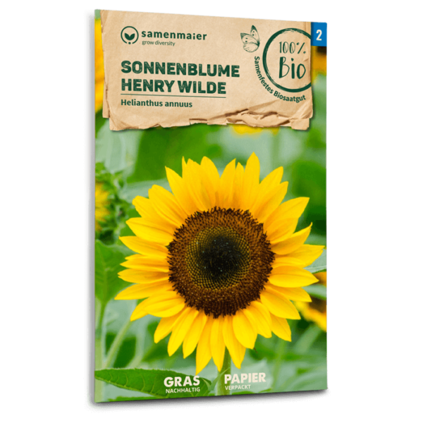 Organic Sunflower Henry Wilde