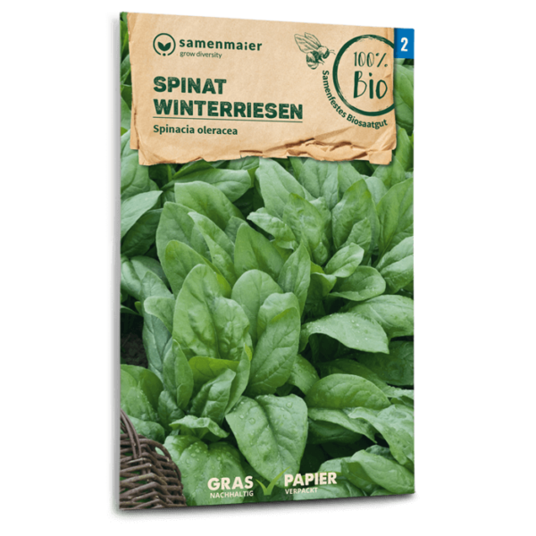 Organic spinach winter giant