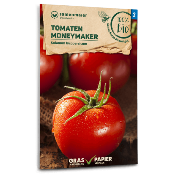 BIO Tomaten Moneymaker