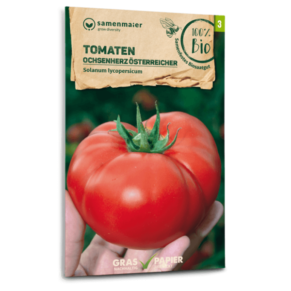 BIO Tomaten Ochsenherz Österreicher