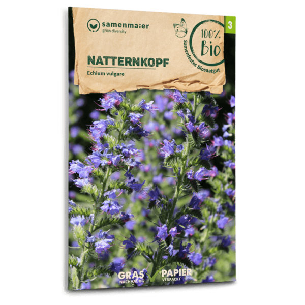 BIO Wildblumen - Natternkopf