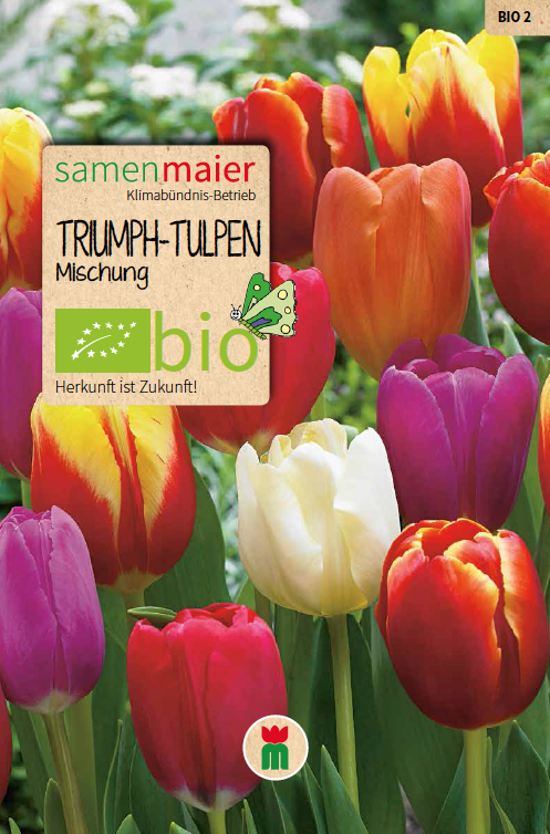 BIO Triumph-Tulpen Mischung