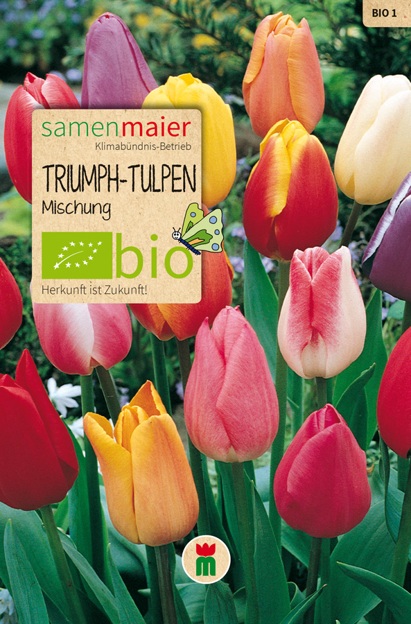 Organic Triumph Tulip Mix