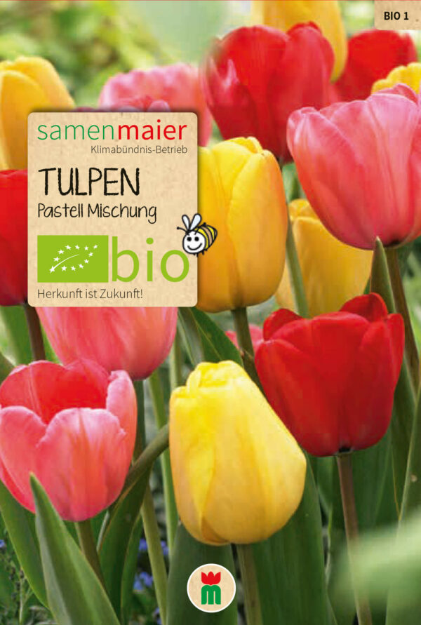 ekološki tulipani ˝Pastel Mix˝