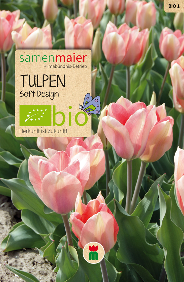 Organic tulips - Soft Design