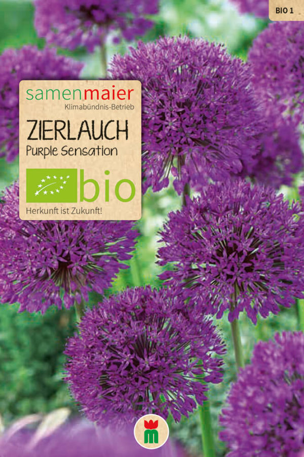 BIO Zierlauch Purple Sensation